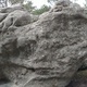 Tendu thumbnail
