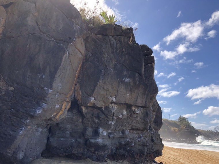 T-Rex Overhang Section