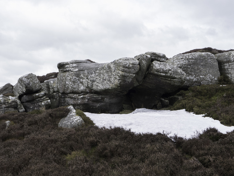 Pumped Up Plastic People