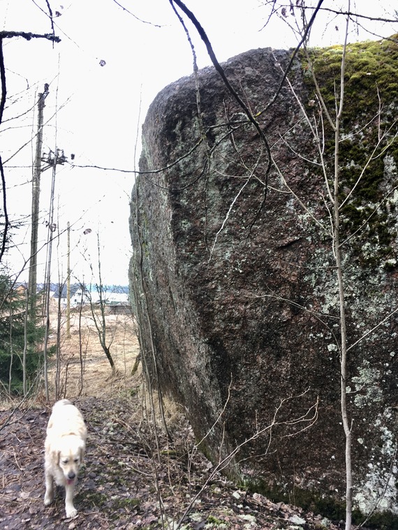 веселые старты