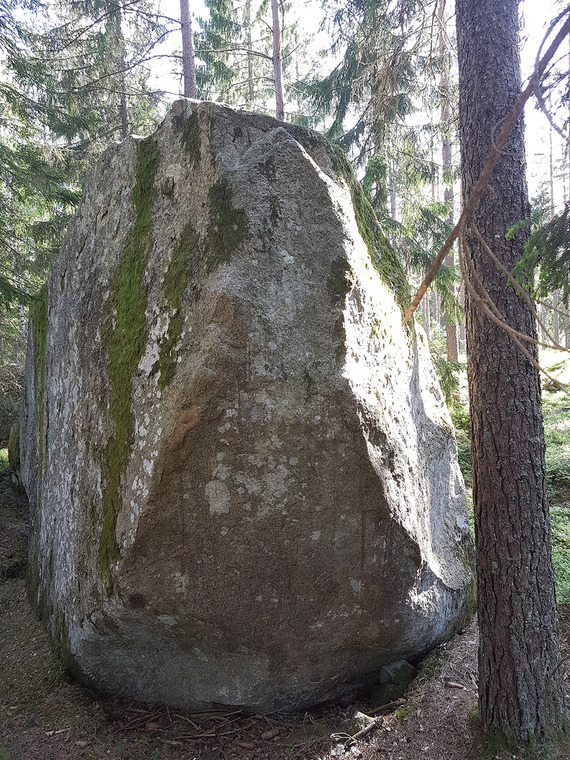 Sektor B Snårskogen