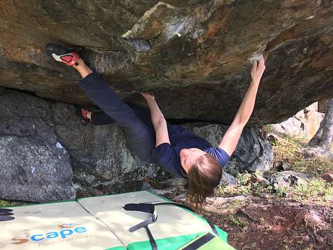 Emily Töyrä