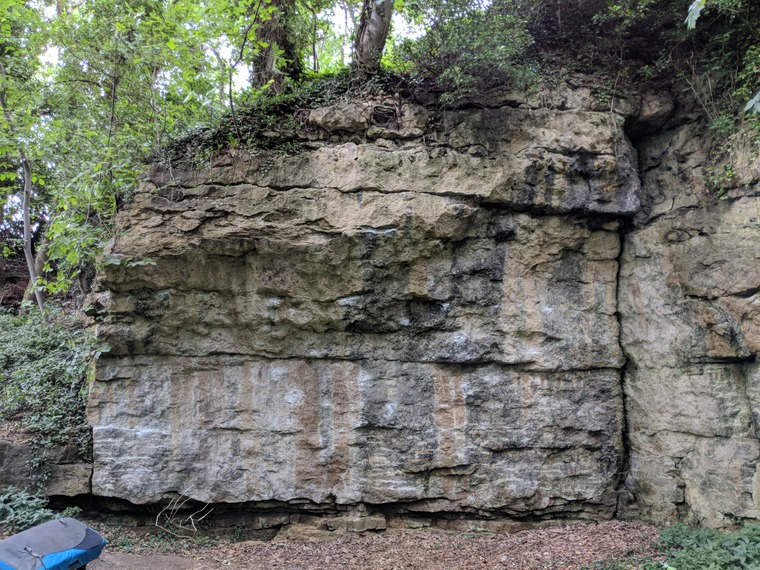 Adrian Ledgeway's Wall