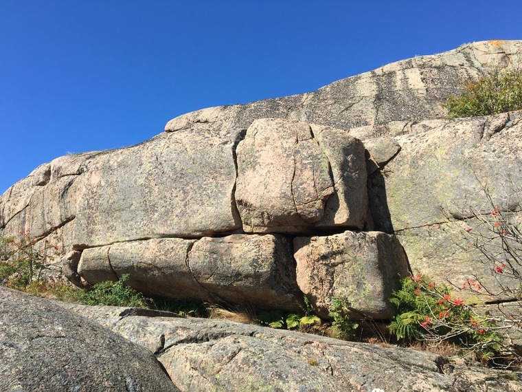 Sjöviken, Hamburgö