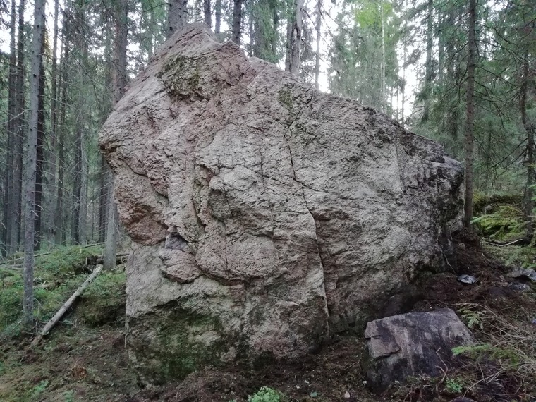 Квадратный король