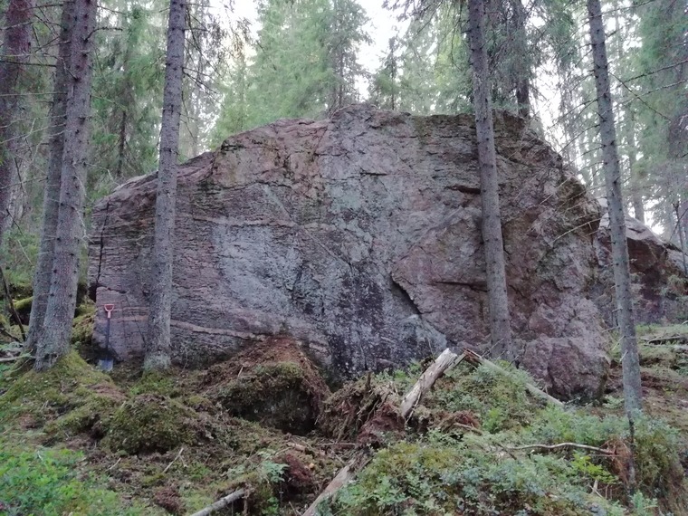 Квадратный король