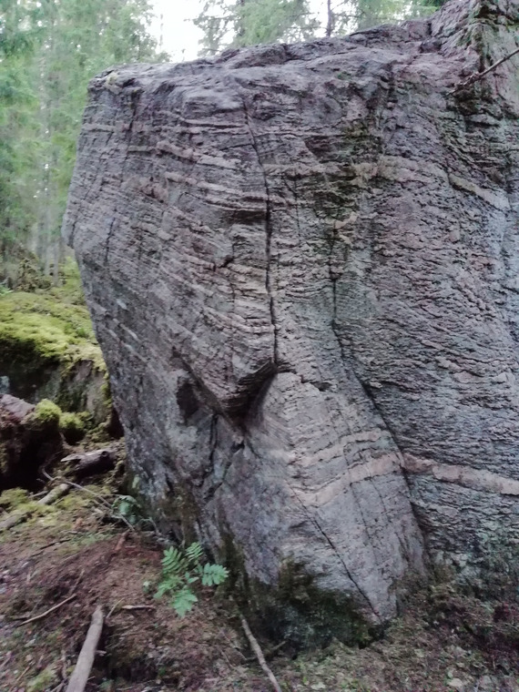 Квадратный король