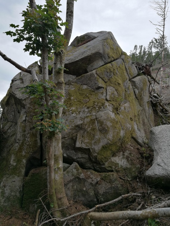 Lower stone