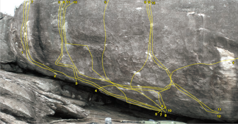 Bloco dos Ostras Central