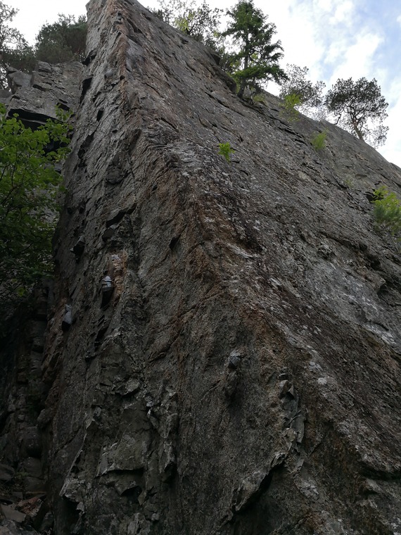 Hovedfeltet - Høyre