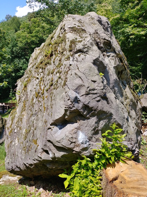 L'albero (c'era una volta))