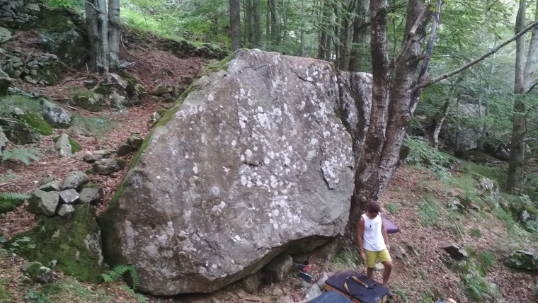 Segheria - SottoFalesia