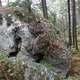Piège à Lichen thumbnail