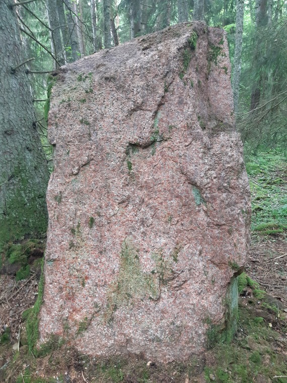 Niak Rätt kordinater