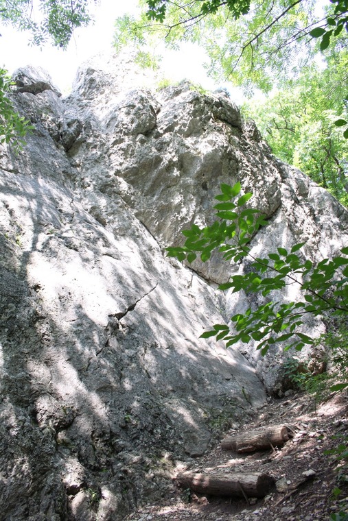 Kaltenleutgebner Grat