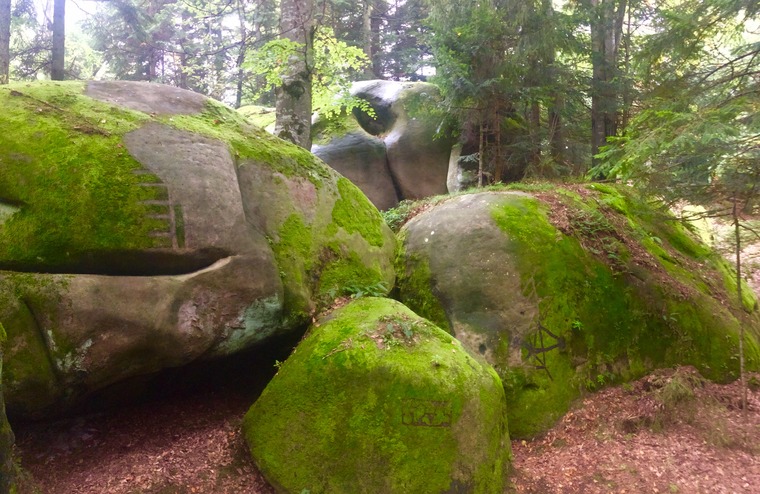 Акваріум/Aquarium