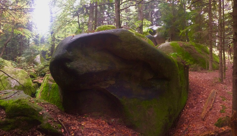 Акваріум/Aquarium