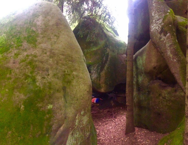 Акваріум/Aquarium