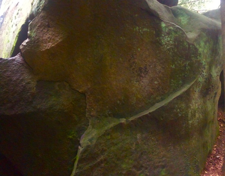 Акваріум/Aquarium