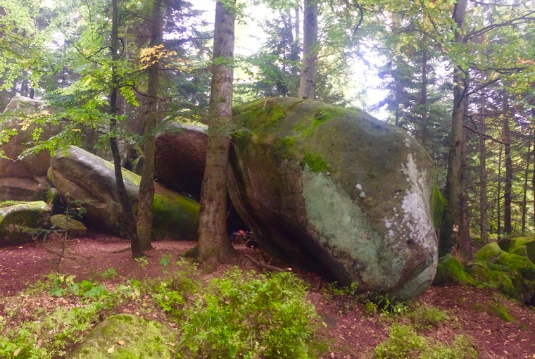 Акваріум/Aquarium