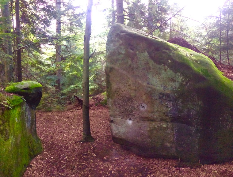 Свиноматка/Sow