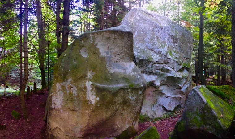 Свиноматка/Sow