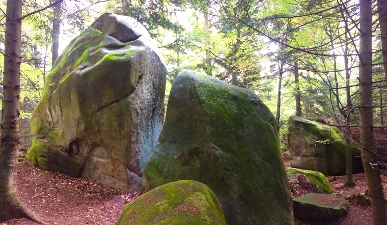 Свиноматка/Sow