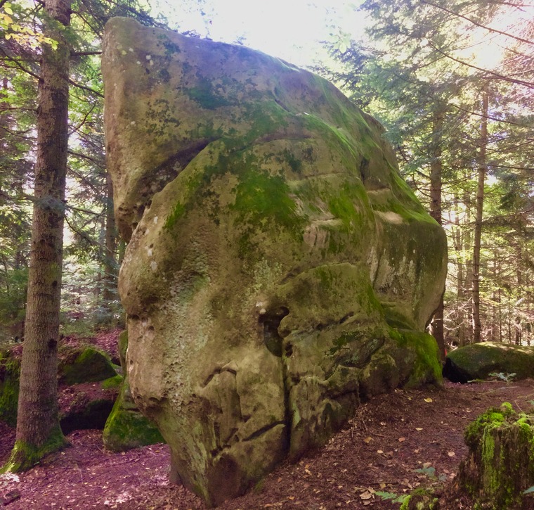 Свиноматка/Sow