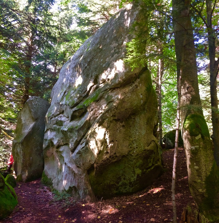 Свиноматка/Sow