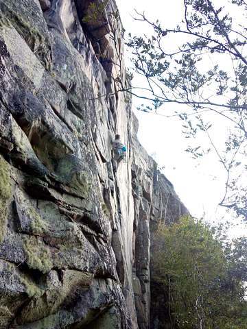Augustus Holian