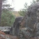 Sculpture thumbnail