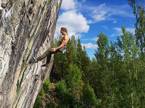 Max Andersson