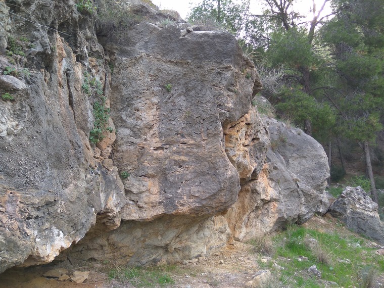 Primer sector (alto)