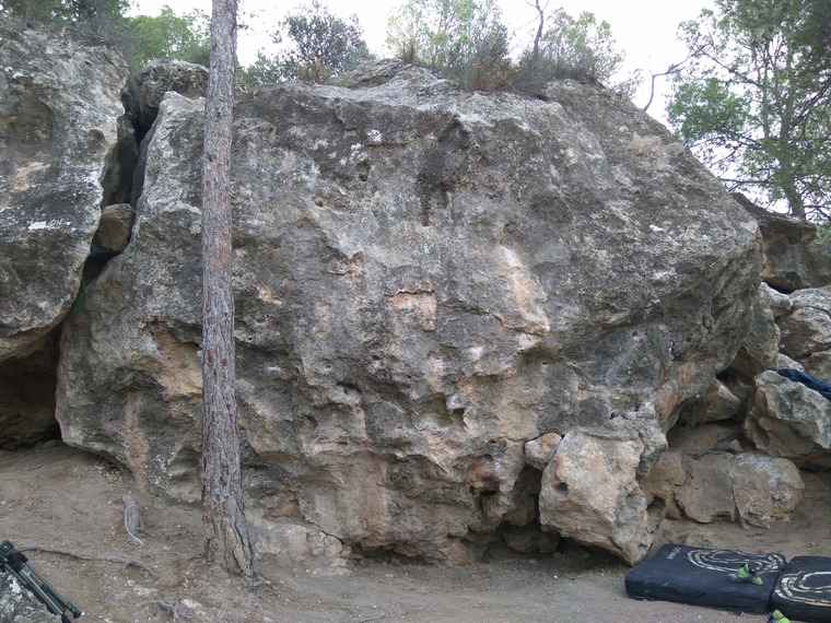 Primer sector (alto)