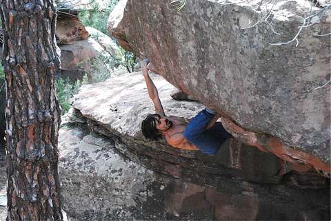 Daniel Romero Villegas