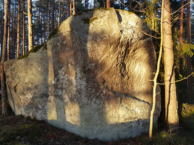 Klapperkärret (east, skogen)