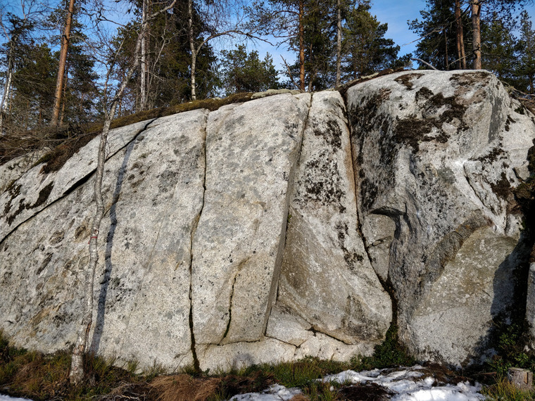 Sea cliffs in the woods
