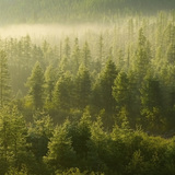 Krzysztof Wierzbicki