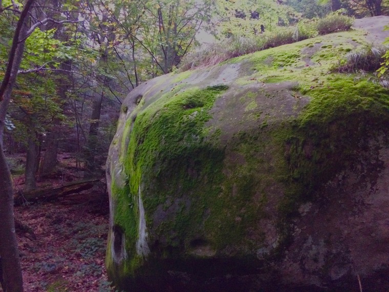 Мікрорайон/Microdistrict