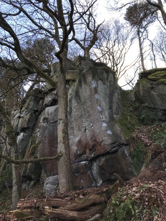 Rumble in the Jungle