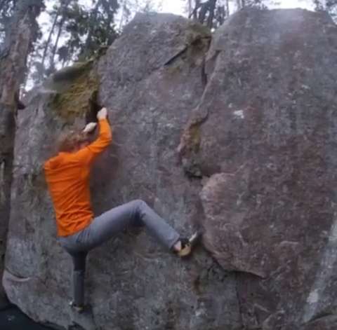 Edwin van der Does