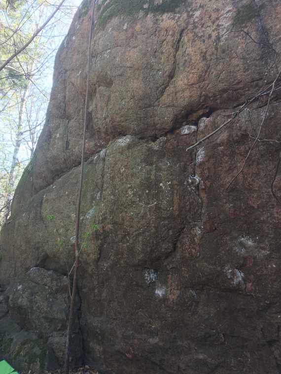 Henriksdalsbackan Forest Idyll