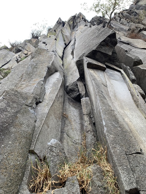 Cuarto Dinamo - La Coconetla