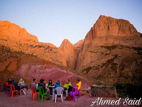 Ahmed Said