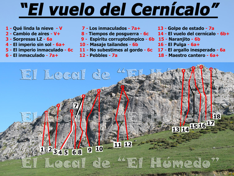 El vuelo del cernícalo