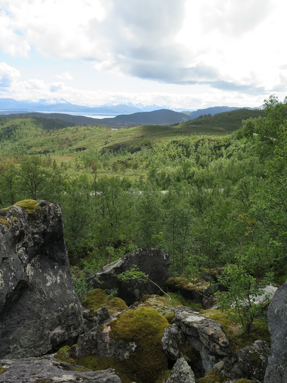 Førstefjellsura sektor 1