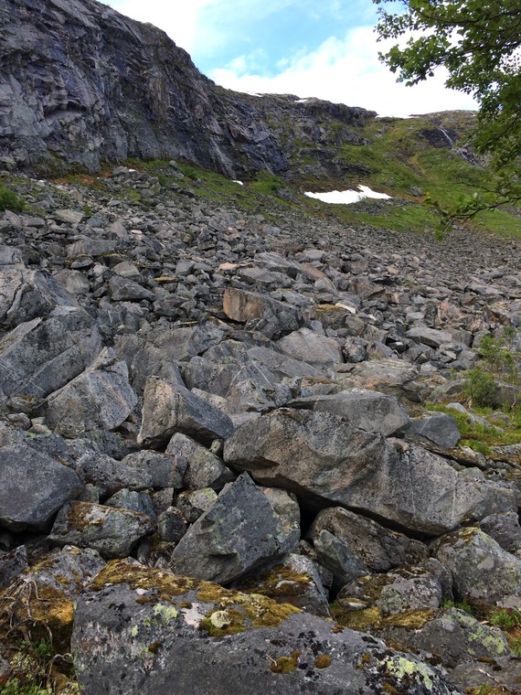 Førstefjellsura sektor 2