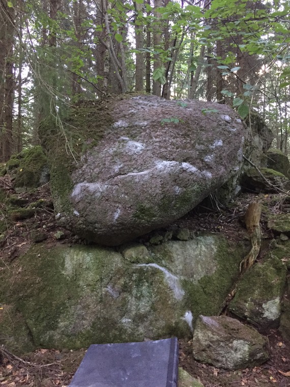 Thomas Gjertsen- steinen