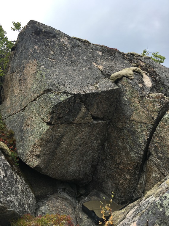 Krokodillen som fikk dilla