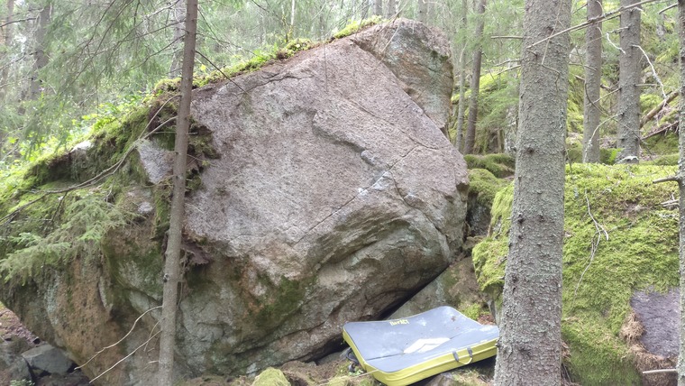 Tragedy of the commons